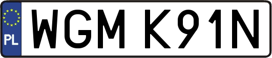 WGMK91N