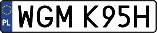 WGMK95H