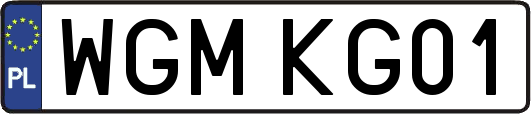 WGMKG01