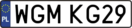 WGMKG29