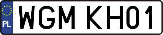 WGMKH01