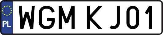 WGMKJ01