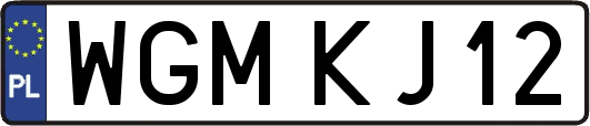 WGMKJ12