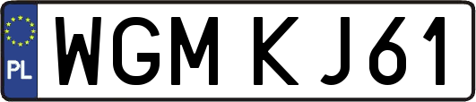WGMKJ61