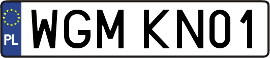 WGMKN01