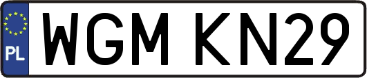 WGMKN29