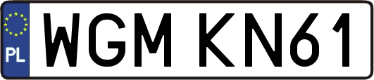 WGMKN61