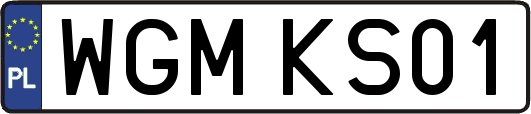 WGMKS01