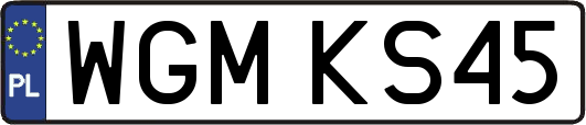 WGMKS45