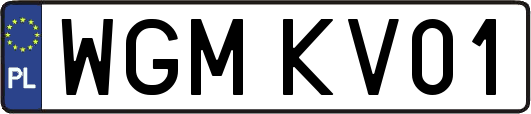 WGMKV01