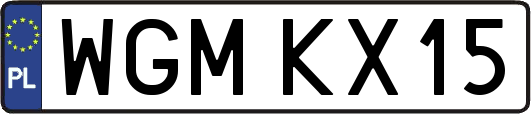 WGMKX15