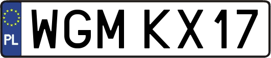 WGMKX17
