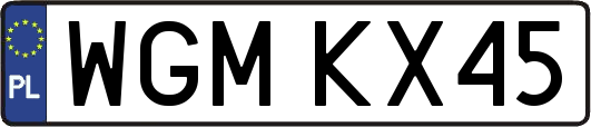 WGMKX45