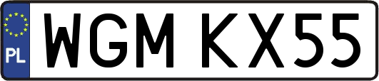 WGMKX55