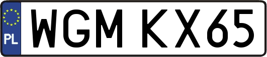 WGMKX65