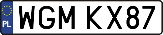 WGMKX87