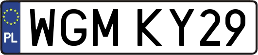 WGMKY29