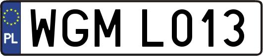 WGML013