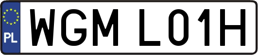 WGML01H