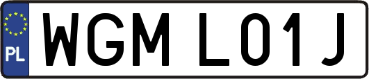 WGML01J