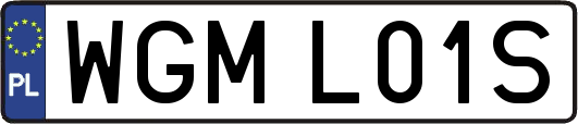 WGML01S