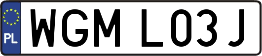 WGML03J
