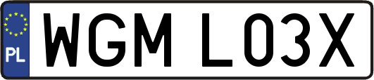 WGML03X