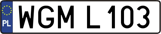 WGML103