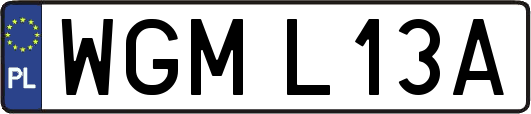 WGML13A