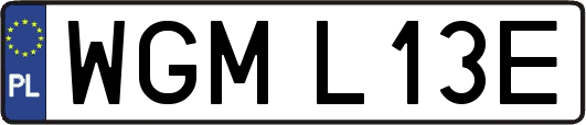 WGML13E