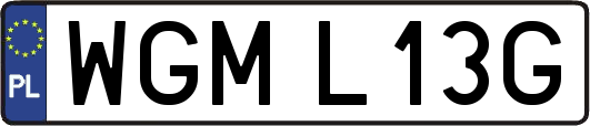 WGML13G