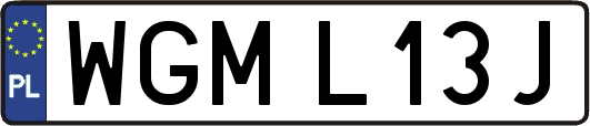 WGML13J