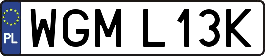 WGML13K