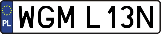WGML13N