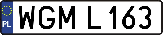 WGML163