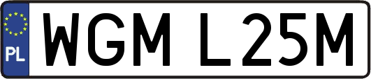 WGML25M