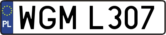 WGML307