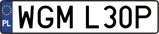 WGML30P