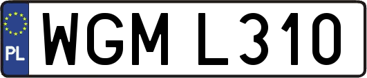 WGML310