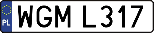 WGML317