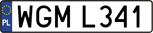 WGML341