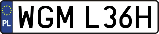 WGML36H