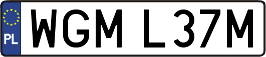 WGML37M
