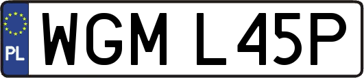WGML45P