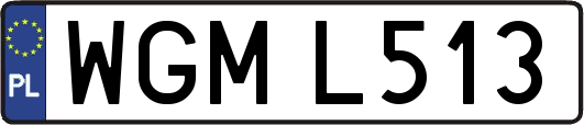 WGML513