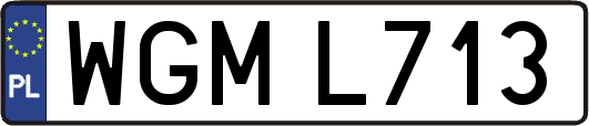 WGML713
