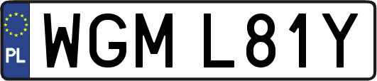 WGML81Y