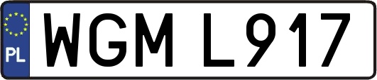 WGML917