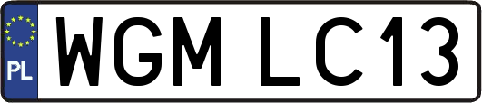 WGMLC13
