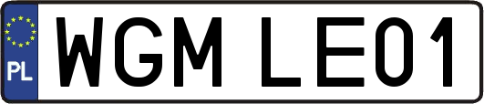 WGMLE01
